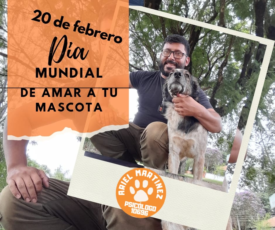 PotterPsico's tweet photo. Hoy, 20 de febrero, se celebra el Día Mundial de Amar a tu Mascota. En Psicología, sabemos que las mascotas pueden tener un impacto positivo en nuestra salud mental y emocional.Las mascotas pueden:
Reducir el estrés y la ansiedad
Fomentar la conexión social y la empatía.🐕🧠👨🏿‍🚒 https://t.co/uPBZjpvFFH