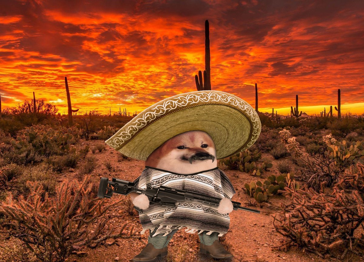 Fella delivery for an email request.

One Mexican-Arizonan fella, who's partial to a bit of precision rifle shooting.