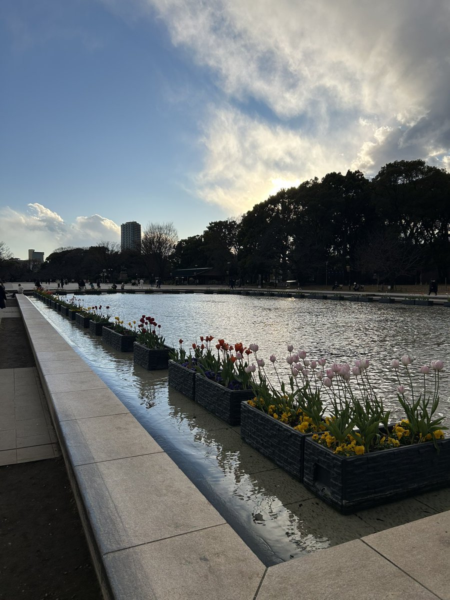 fighting gold tweet media