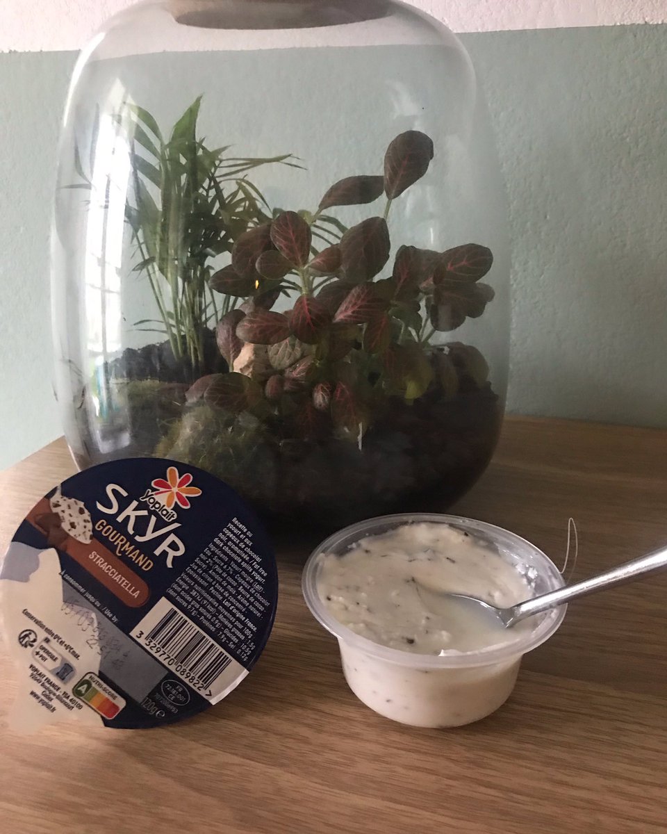 #yoplaitskyr <a href="/sampleo/">Sampleo</a>