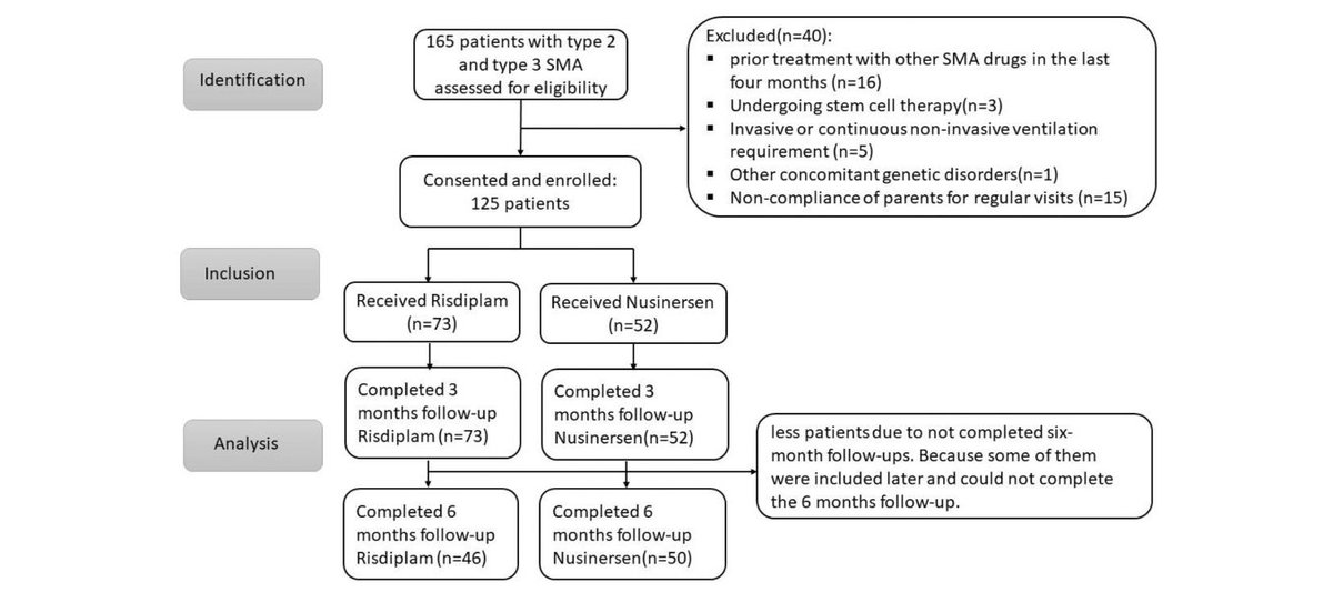 journal_nd's tweet image. 📊 In a first of its kind study, Ashrafi et al. compares real-world efficacy of oral risdiplam vs intrathecal nusinersen in 125 children with SMA type 2 and 3 over 6 months.
Read the full report here: journals.sagepub.com/doi/epub/10.11…
#SMA #RareDisease