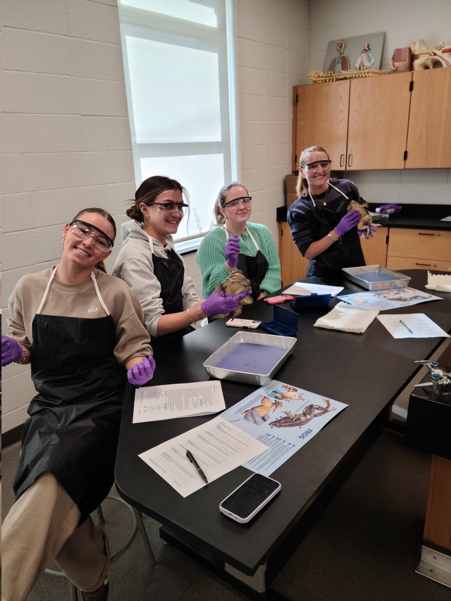 RFH_STEM's tweet image. It starts...Mr. Margolis' Anatomy &amp;amp; Physiology students begin their first dissection of the year.  @RFH_Regional @RFHCurriculum