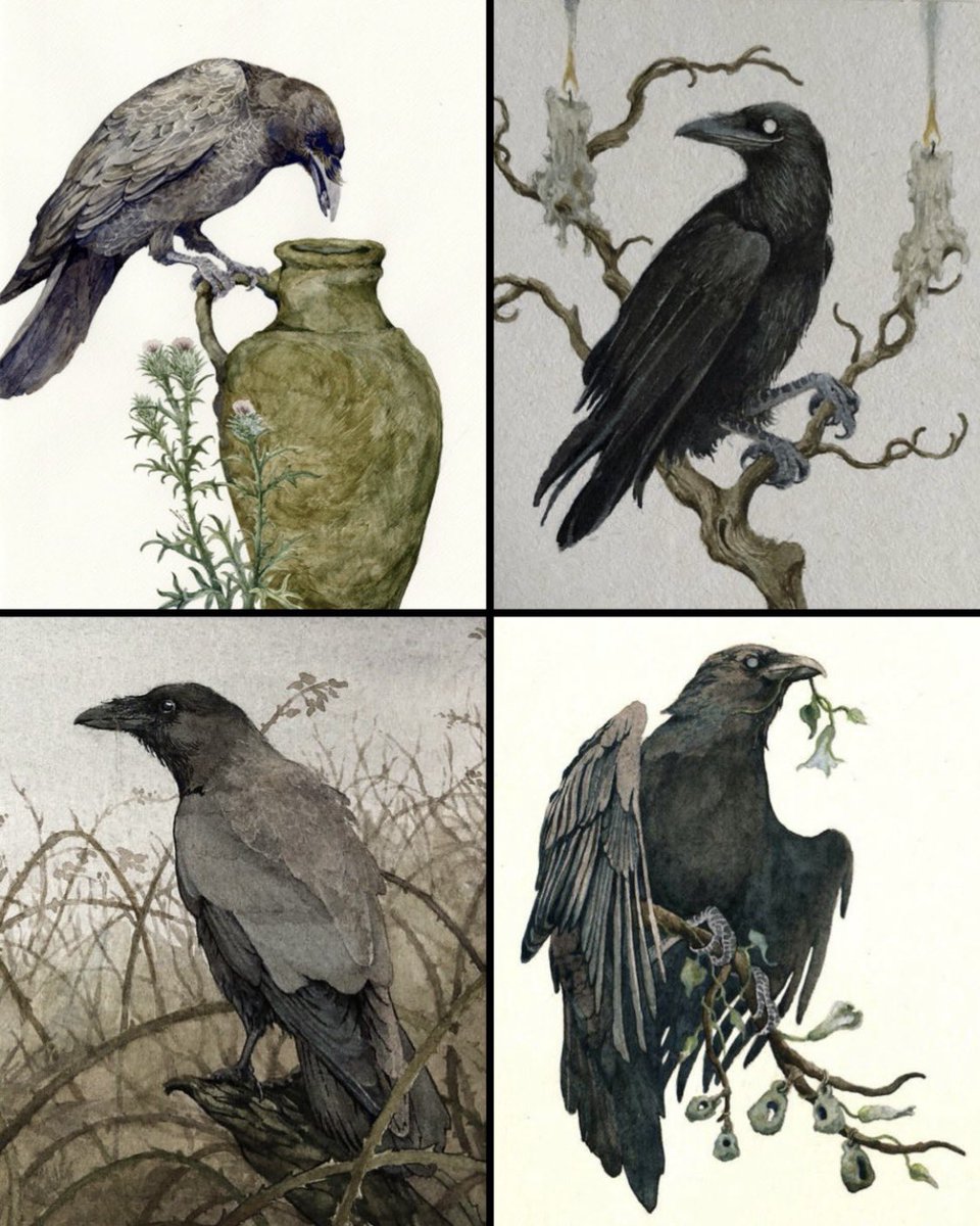 The mysterious crows of Lily Seika Jones