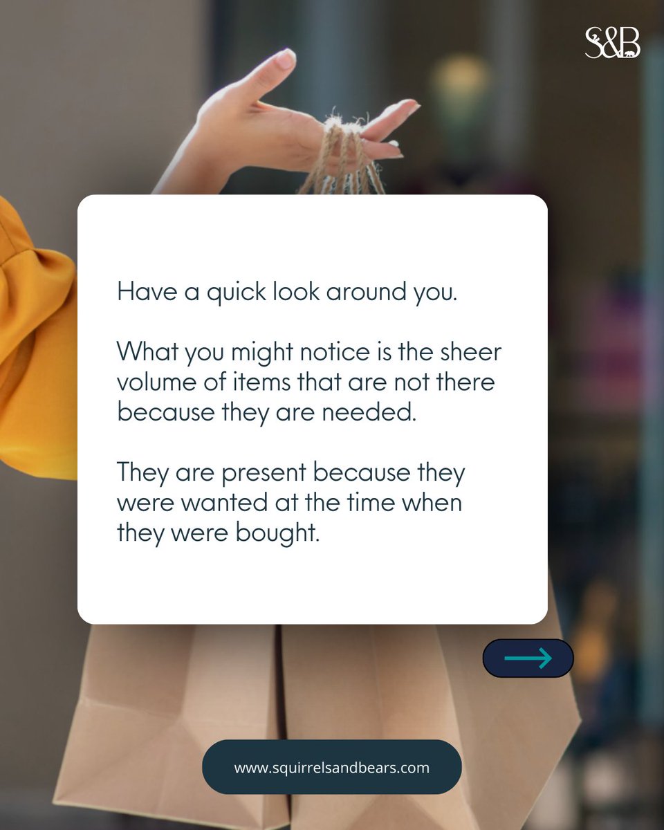 Squirrels&Bears tweet media