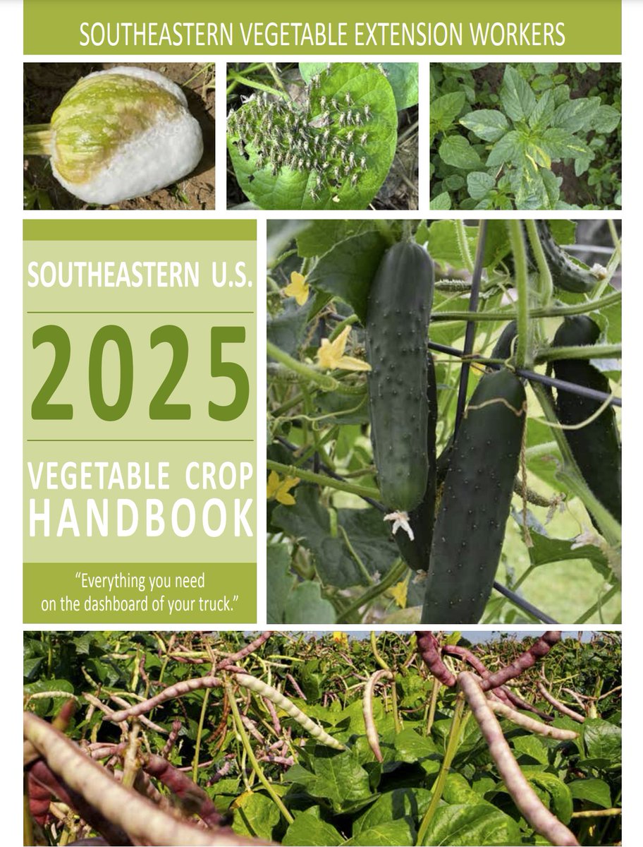 Andrea Gibbs (@hycoagagent) on Twitter photo The 2025 Vegetable Crop Handbook is out! tinyurl.com/yc7ddr5r The 2025 Vegetable Crop Handbook is out! tinyurl.com/yc7ddr5r