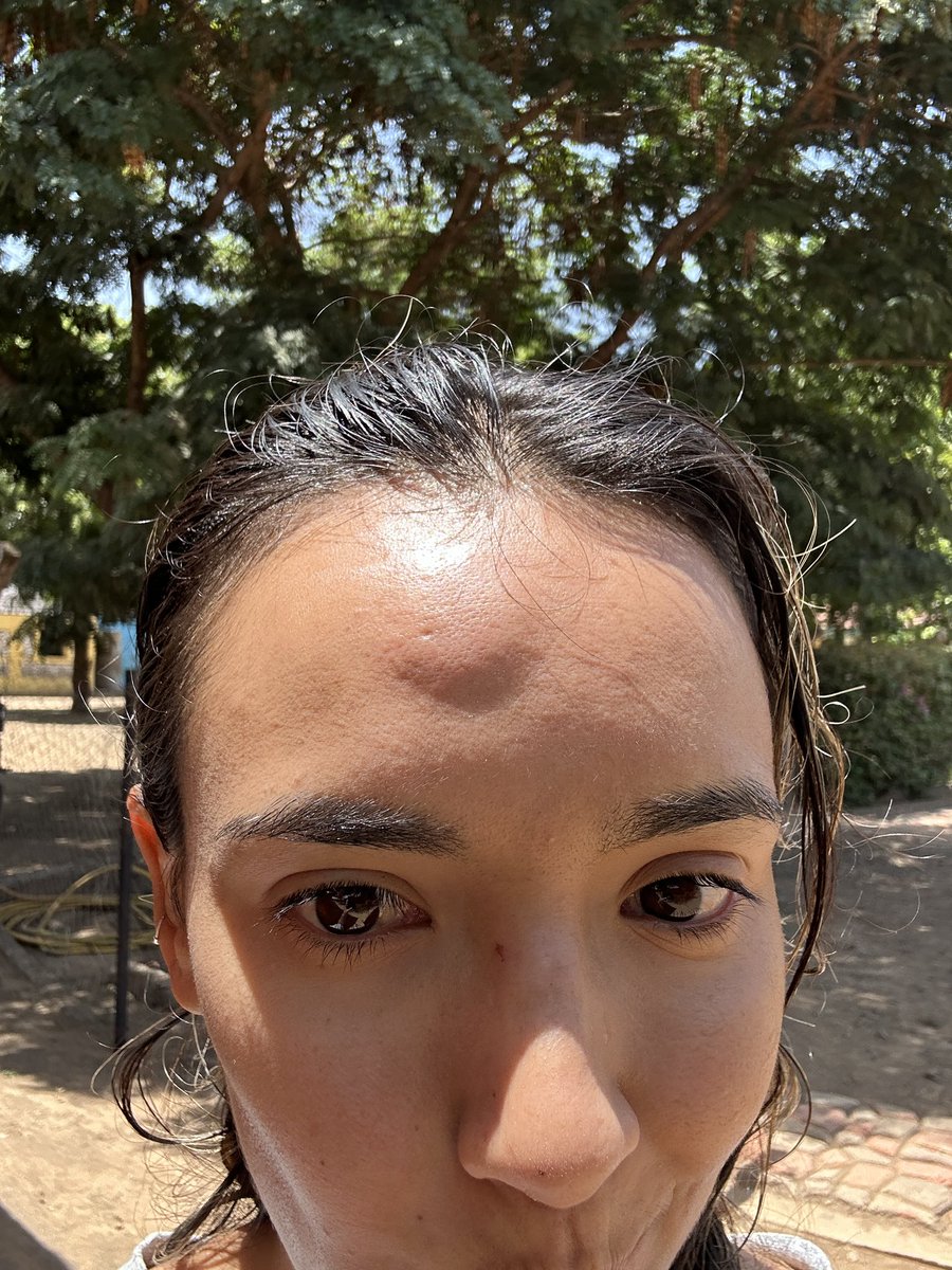 Yuls tweet media
