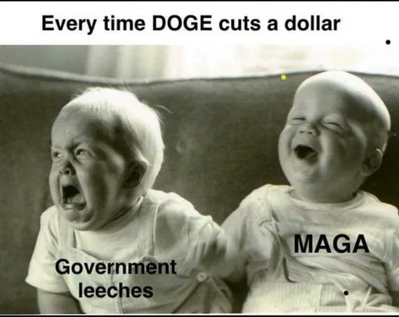 Anti Left Memes tweet media