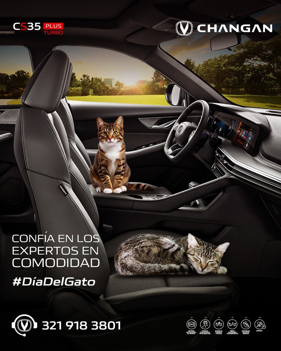 Nada como disfrutar de la mejor comodidad… y ellos lo saben. 🐱🚗 ¡Feliz #DíaDelGato!

#Changan #Colombia

Aplican T&amp;C*