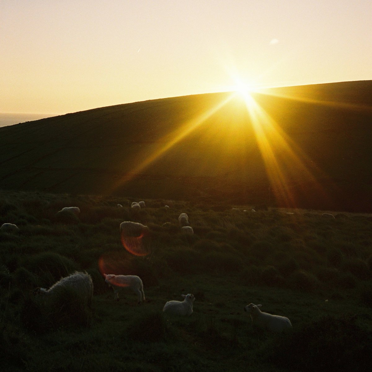 We’re stepping away from X! 

You can still keep up to date with all things OV via our Instagram, Facebook, Bluesky, and our website. 

See you there! 💚