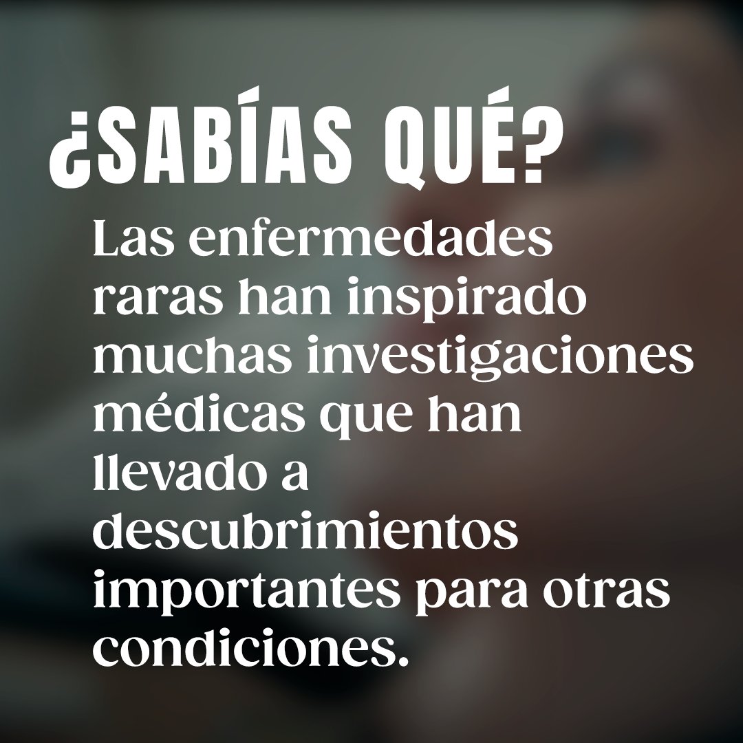 Limmat Films tweet media