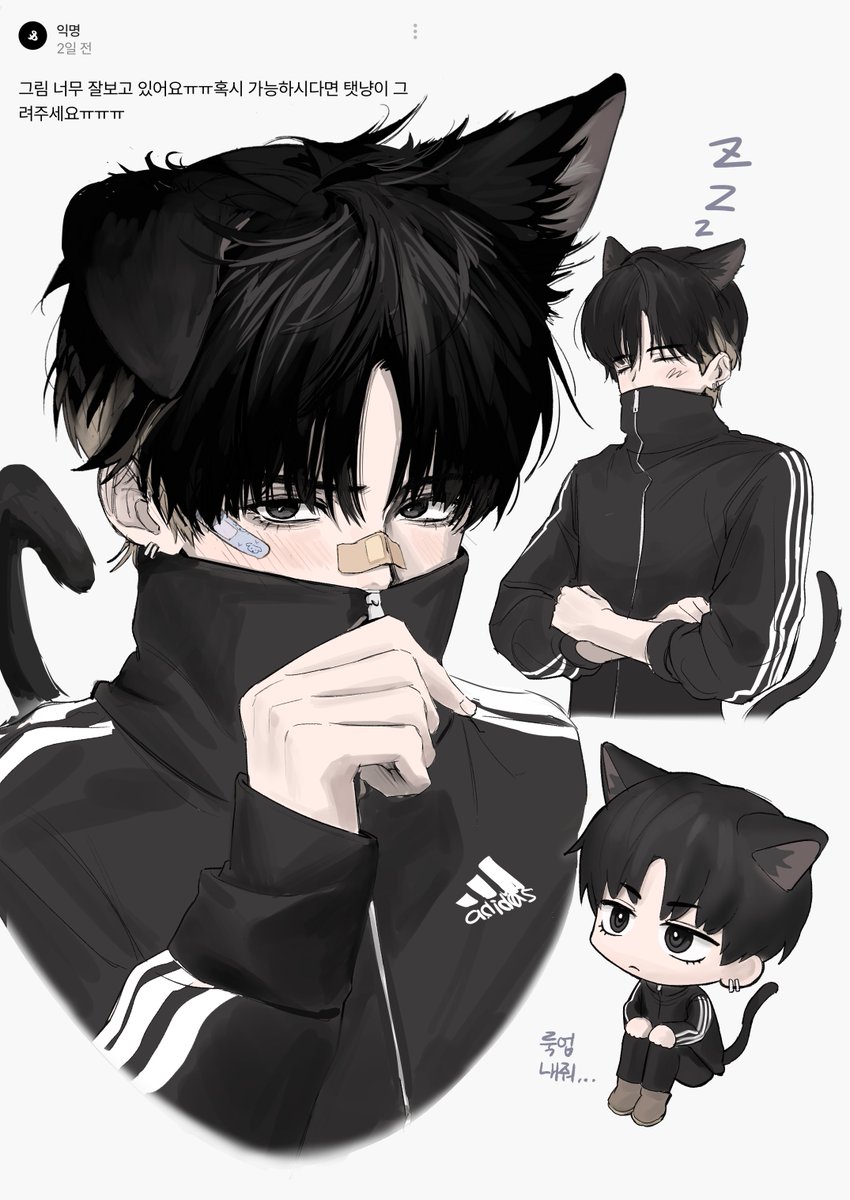 리퀘 탯냥이!
