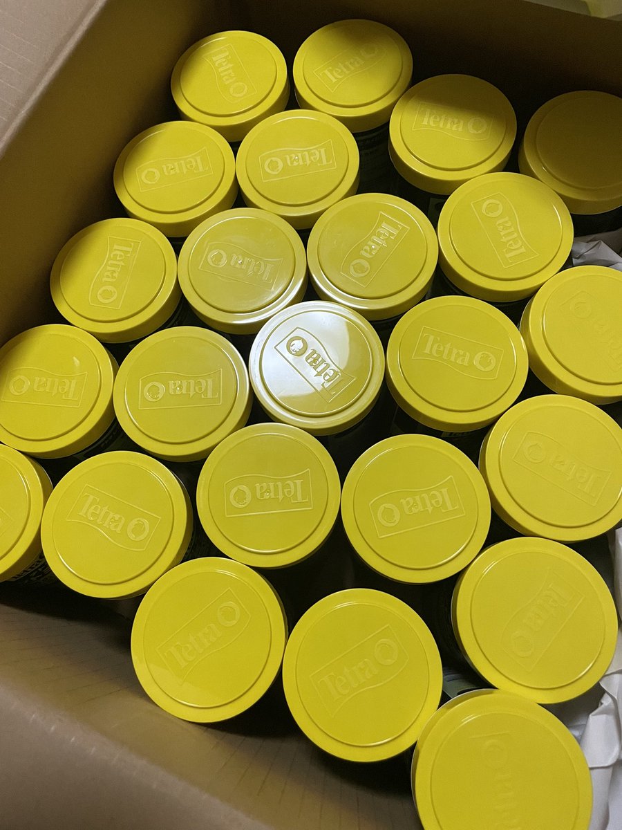 kamezo69247226's tweet image. キターー‼︎😊
#エサ 
#MQ
@MqReptile 
@kinkirep