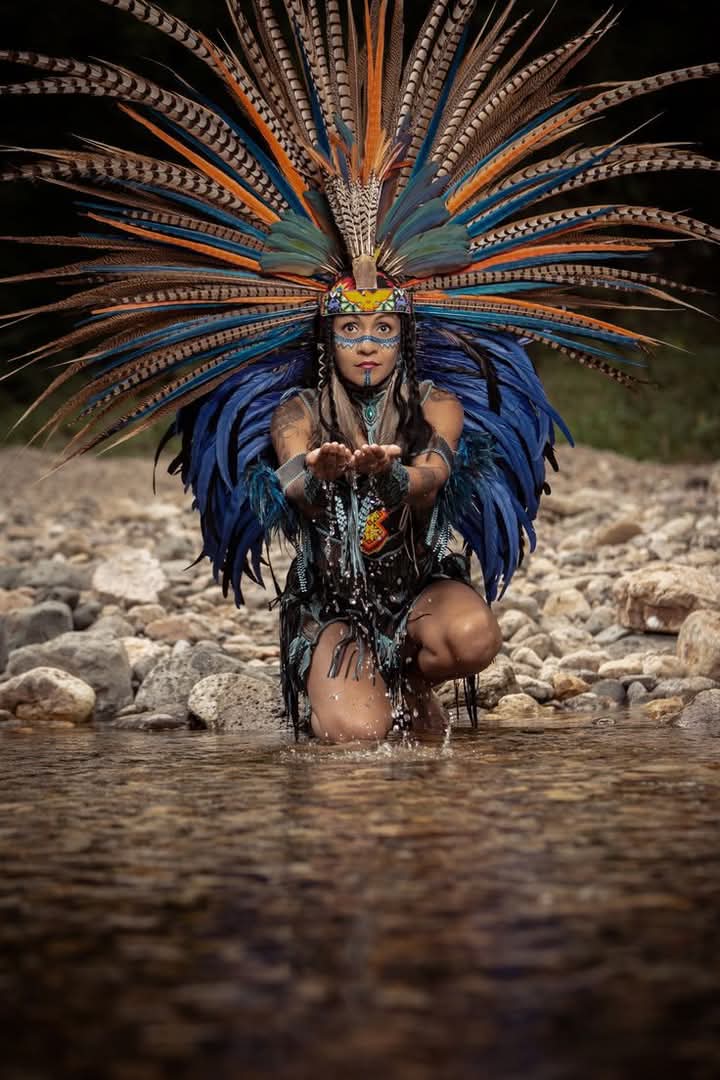 Native American Roots tweet media