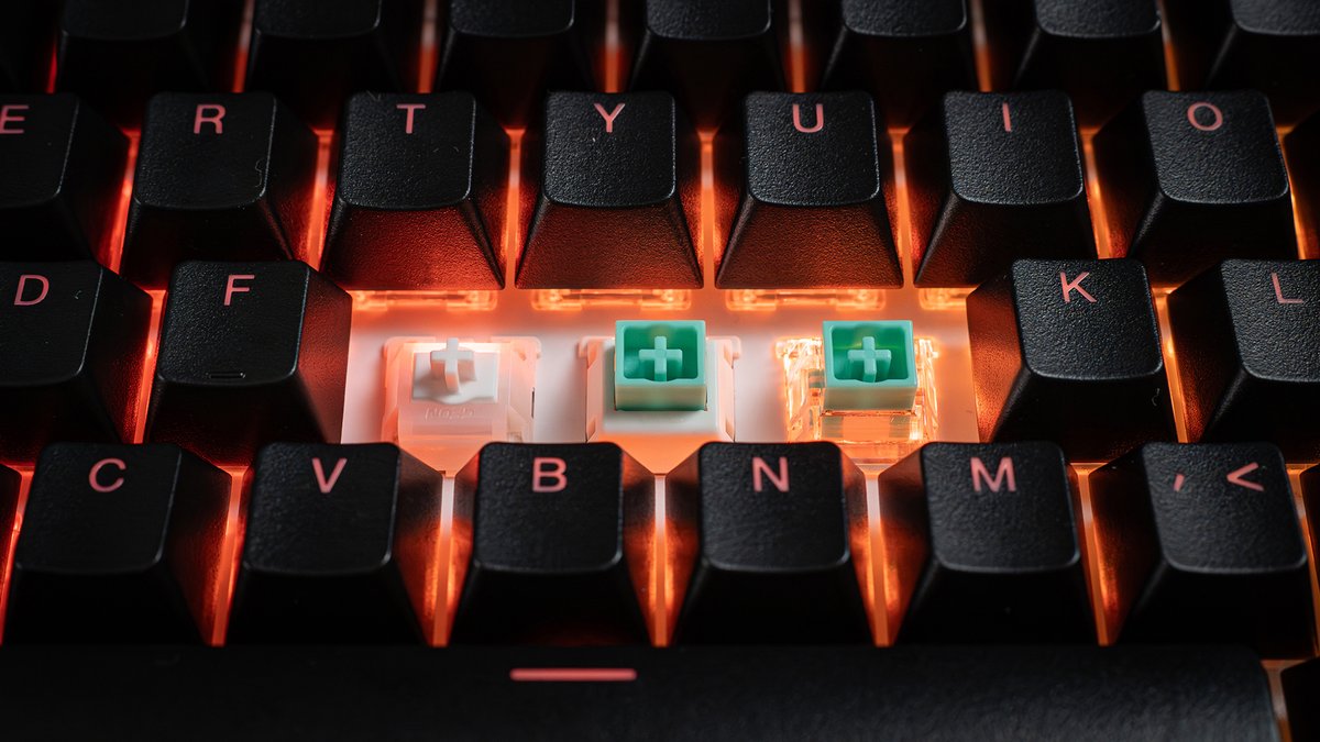 Look at these riches; we got new switches! 🎉 That's right