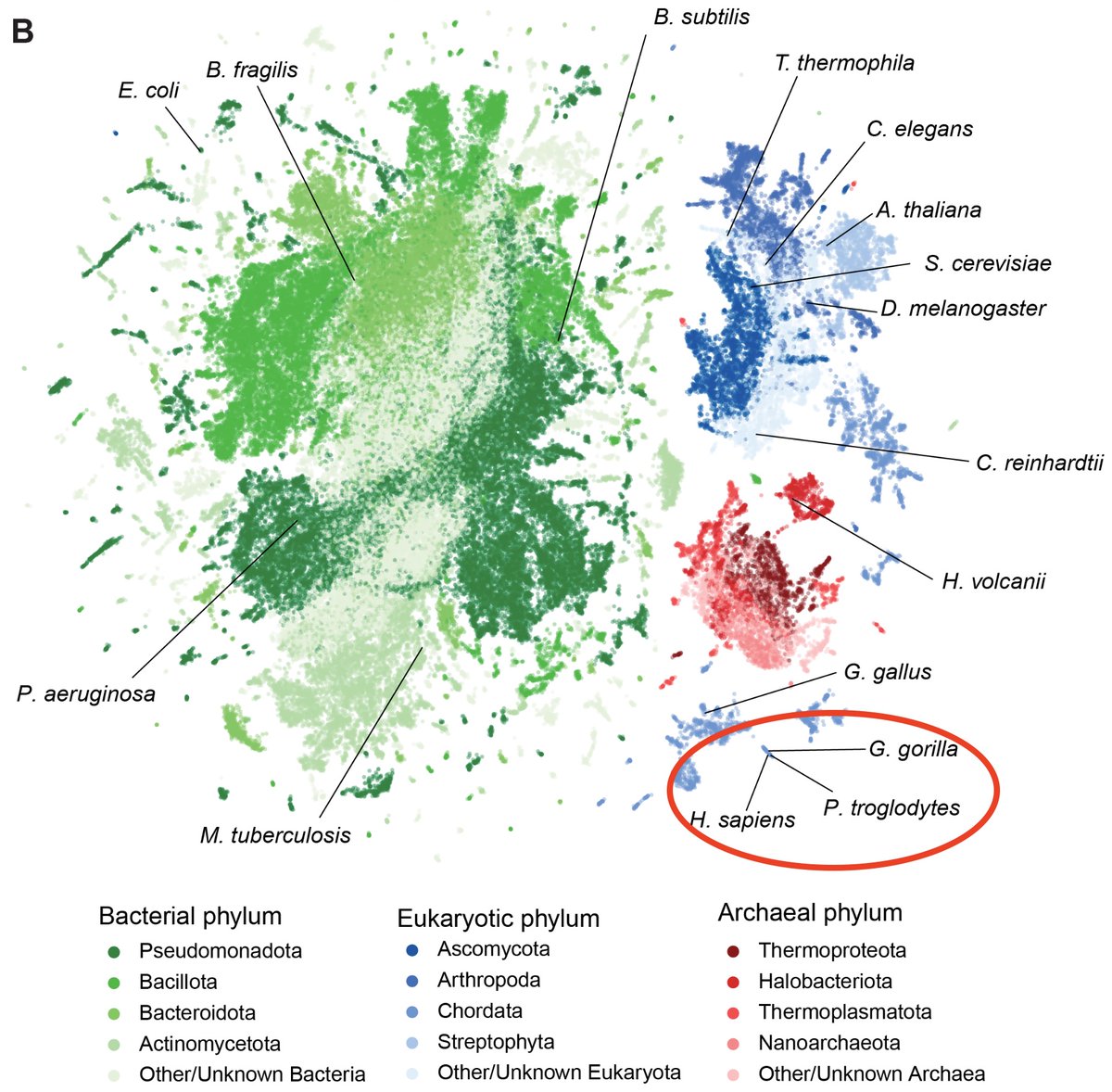 Ed Hagen tweet media