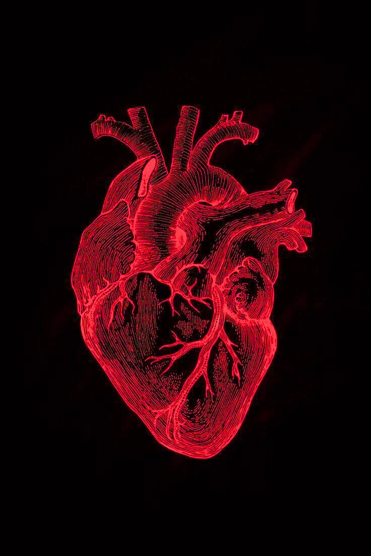 DomJeswal's tweet photo. The most influential love story isn't Romeo &amp; Juliet.

It's not Greek or Roman myth.

It secretly influenced romance through the centuries.

You can feel its presence daily.

Here's what it teaches us about human connection🧵: https://t.co/r4Ef760Yhp