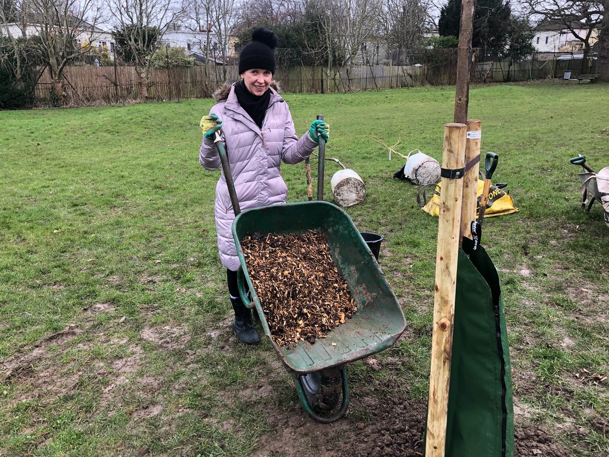 haringeycouncil's tweet photo. 🌳 Planting season is in full swing! 🌳

Cabinet Member Cllr @ekarkell joined Dan, Emma &amp; Tom from our Parks team to help plant 10 🌳s at Springfield Community Park in #BoundsGreen today.

Working with our Friends groups &amp; residents, we're creating a greener Haringey together. 💚 https://t.co/d5qL1yuJdm