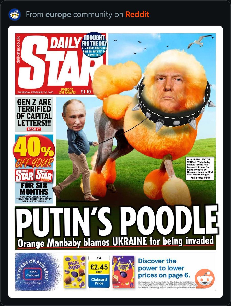 Orange Manbaby  ✨