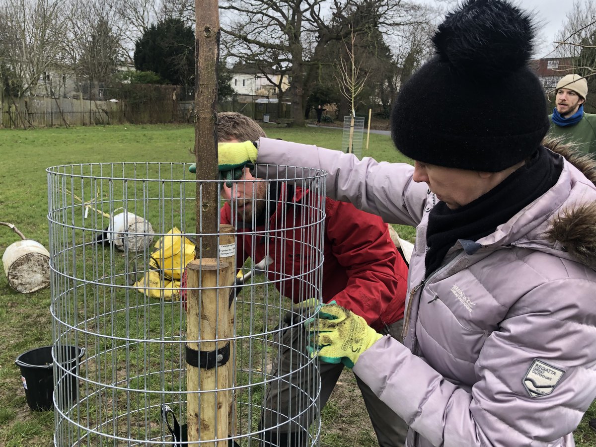 haringeycouncil's tweet photo. 🌳 Planting season is in full swing! 🌳

Cabinet Member Cllr @ekarkell joined Dan, Emma &amp; Tom from our Parks team to help plant 10 🌳s at Springfield Community Park in #BoundsGreen today.

Working with our Friends groups &amp; residents, we're creating a greener Haringey together. 💚 https://t.co/d5qL1yuJdm