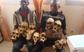 AustinOneg70816's tweet photo. @iaogundele @ozoemena9 @BashirAhmaad But you wanted to use it to mine skull https://t.co/U6EnzokO5V