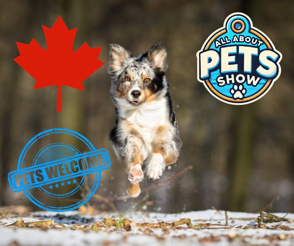 Kick off the March Break with some FUN at the All About Pets Show!
Join us at the Aud in #Simcoe on March 8th and 9th! 
Enjoy fascinating exhibits and support local businesses by checking out our proudly #Canadian vendors! 
allaboutpetshow.ca