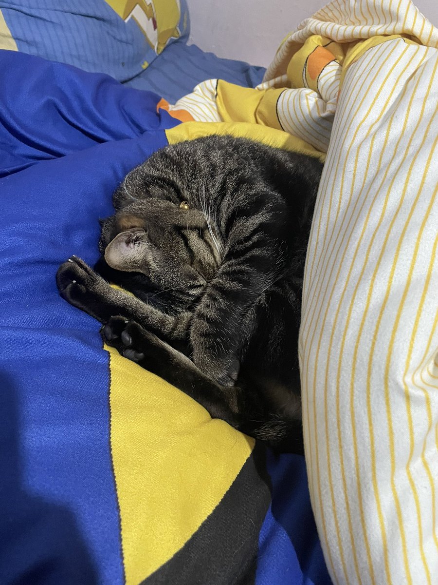 到底怎麼可以睡成這樣