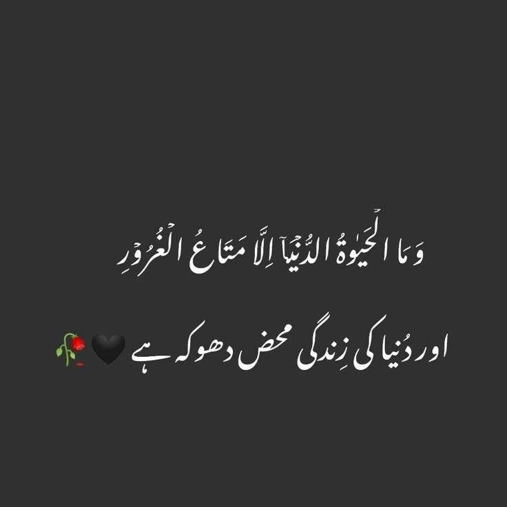 𝗭𝗼𝗵𝗮𝗶𝗯 𝗛𝗮𝗺𝘇𝗮 tweet media