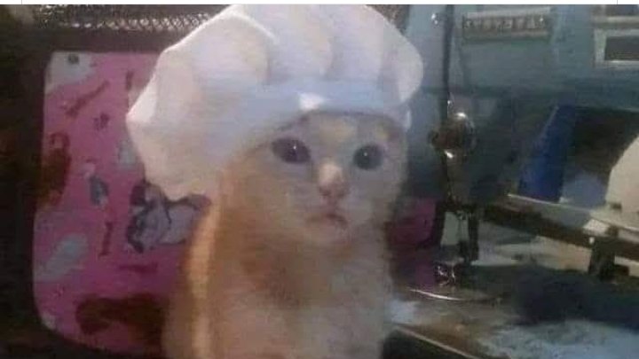 مش عارفه جاي علي بالي الايام دي
ان نفسي اروح مدرسه الابتداءي واصحي الفجر واحضر طابور المدرسه واقضي يوم هناك 🥹