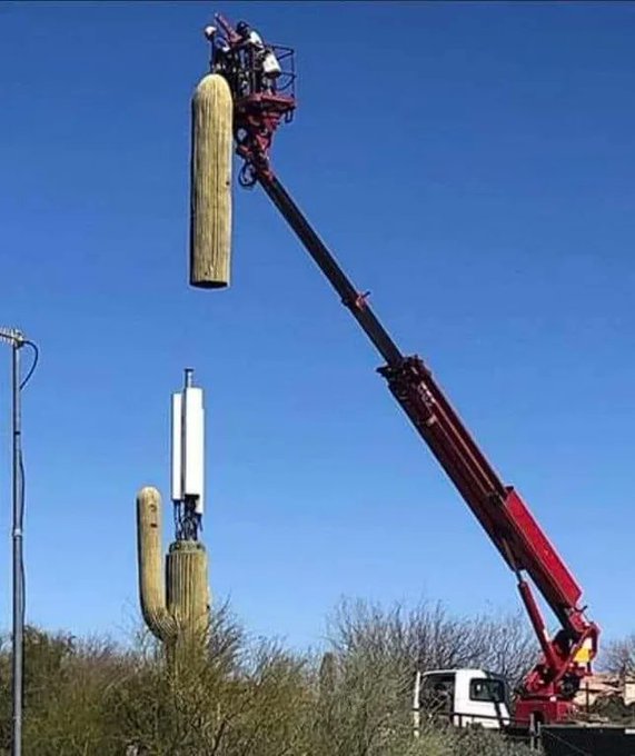 Fixing a cell Phone tower at Arizona. 😆