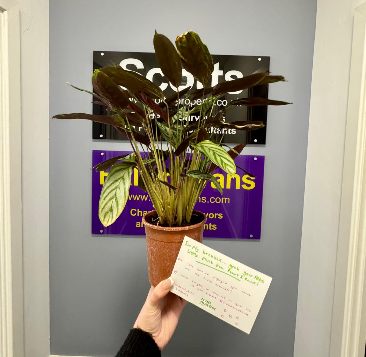 What a lovely lunch break for Rachael in the office today! 🌼

Whilst taking a stroll around the Fruit Market she was handed this lovely card for #randomactofkindness, from Fruit Market Hull to collect this plant from Plant &amp; Paint Hull. ☀️
