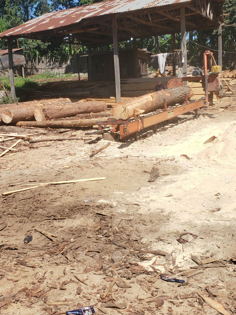 PapiiKhan98's tweet image. Naomba Retweet yako.🙏

Matajiri zangu mnaofanya ujenzi Mkoa Wa Kilimanjaro naombeni Dili za kuwaletea mbao....Njaa itaniua huku Rombo kijana wenu.

Kama una Yard ya kuuza mbao pia tutakuuzia mbao kwa bei nafuu sana Tajirii ilo ukapate faida.

Call/Whatsapp +255756946965