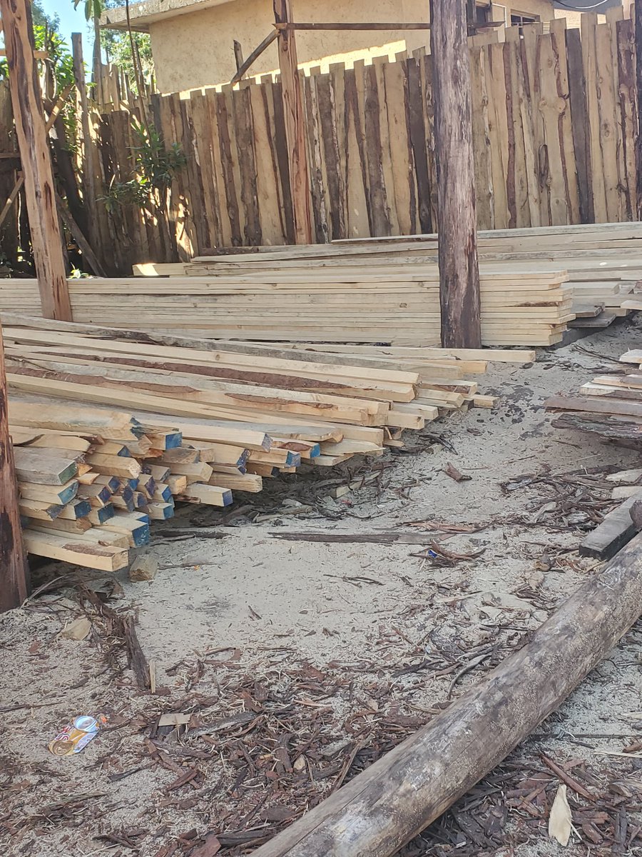 PapiiKhan98's tweet image. Naomba Retweet yako.🙏

Matajiri zangu mnaofanya ujenzi Mkoa Wa Kilimanjaro naombeni Dili za kuwaletea mbao....Njaa itaniua huku Rombo kijana wenu.

Kama una Yard ya kuuza mbao pia tutakuuzia mbao kwa bei nafuu sana Tajirii ilo ukapate faida.

Call/Whatsapp +255756946965