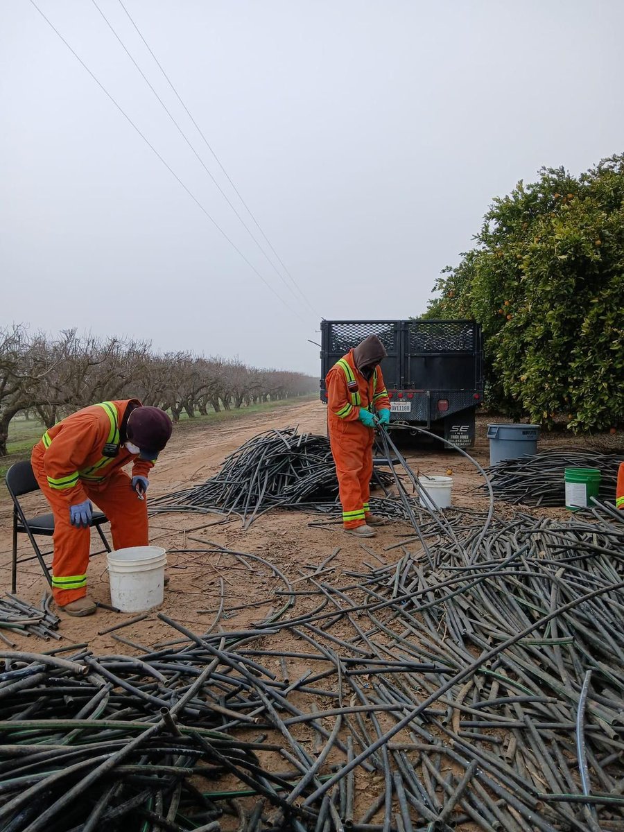 United Farm Workers tweet media