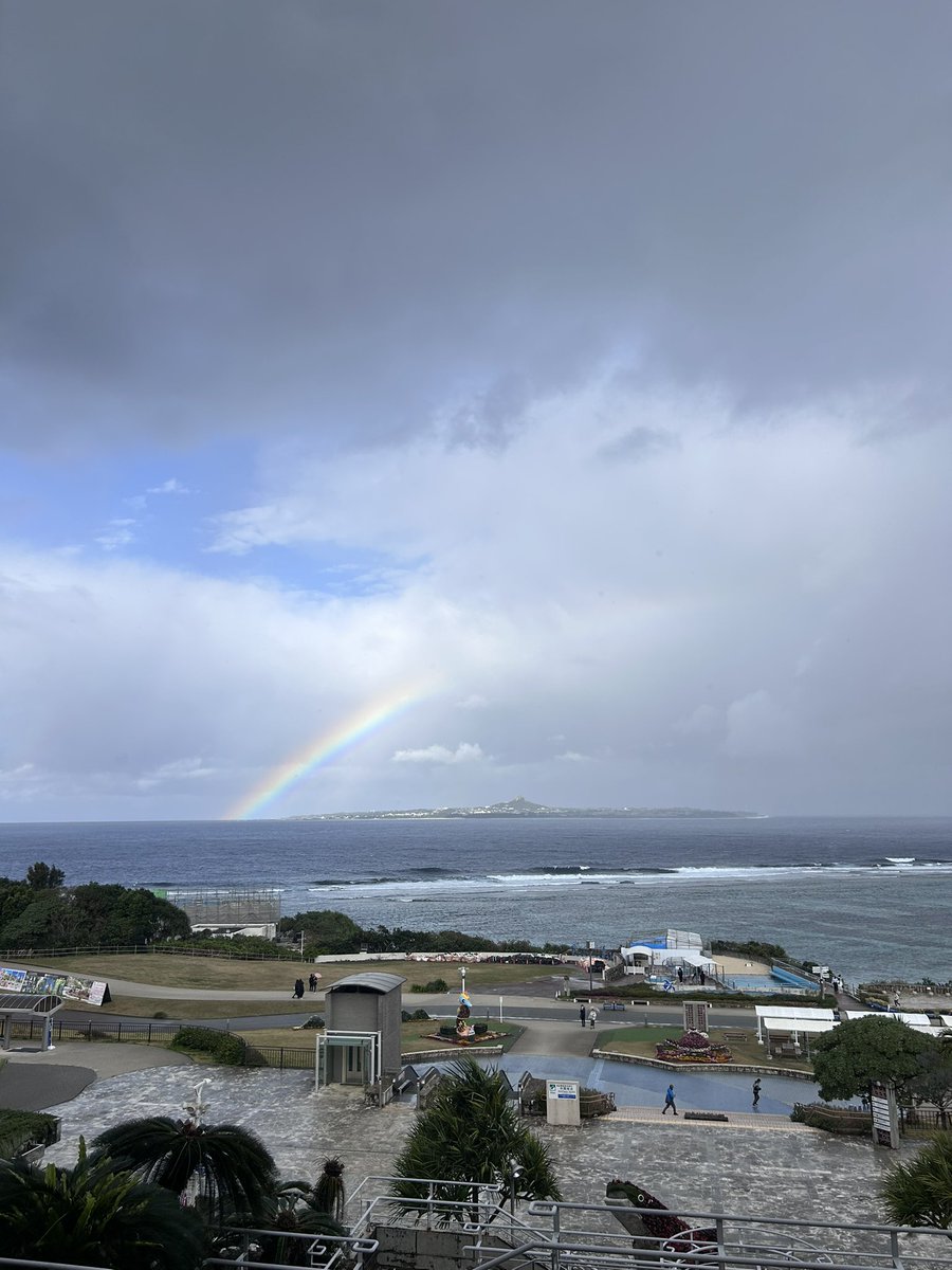 RYUTA MOGI tweet media