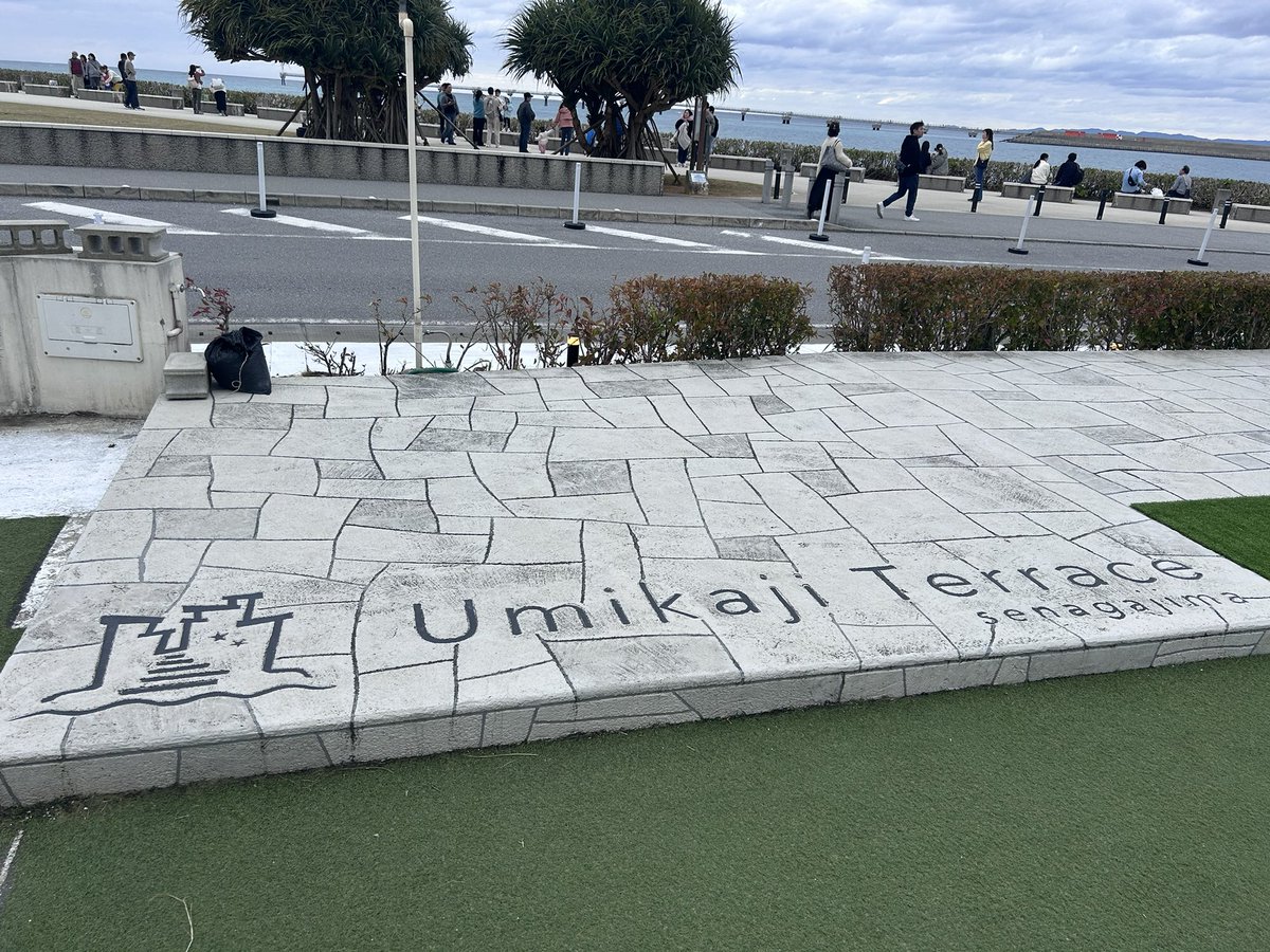 RYUTA MOGI tweet media