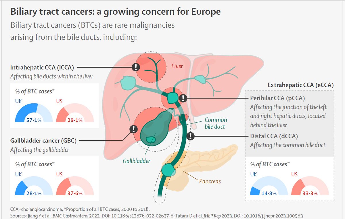 We have launched our 1st clinical Series of 2025 <a href="/EASLedu/">EASL Education</a> in Paris on Biliary tract cancers 

Explore findings &amp; recommendations in our infographic &amp; read the full Series here: 
thelancet.com/infographics-d…
<a href="/EASLnews/">EASLnews</a> #livercancersummit