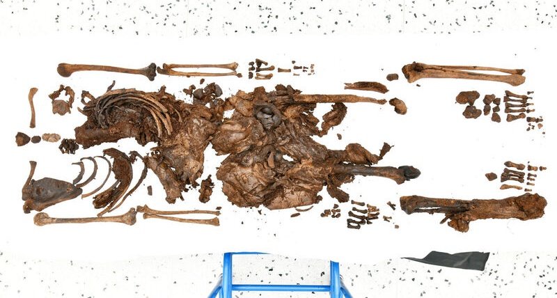 BUCHANAN: Dublin Time Machine tweet media