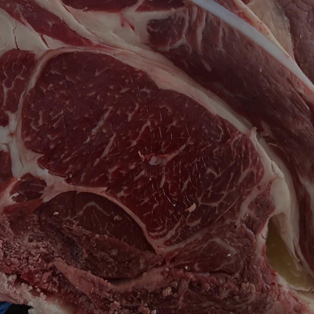 Stoddart's Best in Beef tweet media