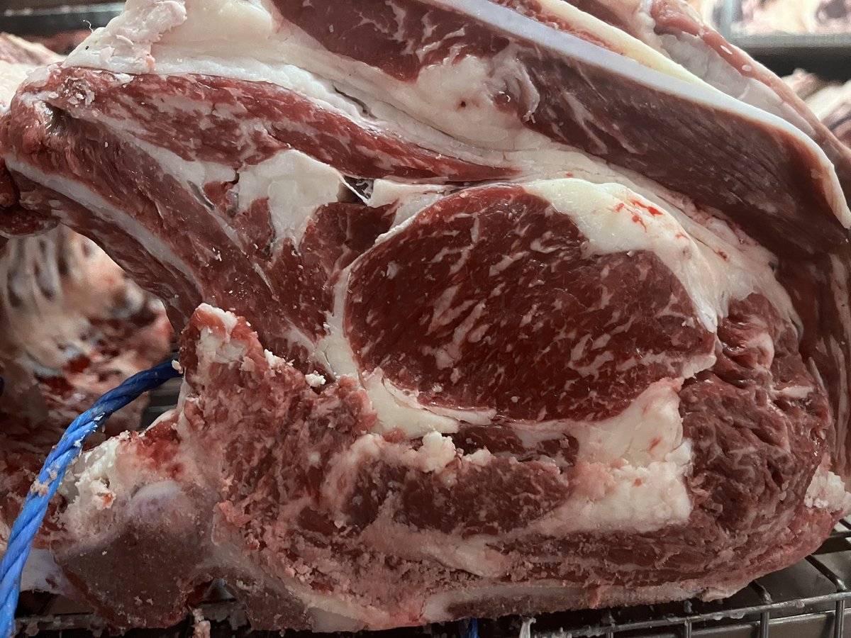 Rib &amp; Loins selected at our Abbatoir for @longcroftandold &amp; @nottinghillfishshop #stoddartassured #bestinbeef #selection #quality #provenance #scotchbeef #consistency