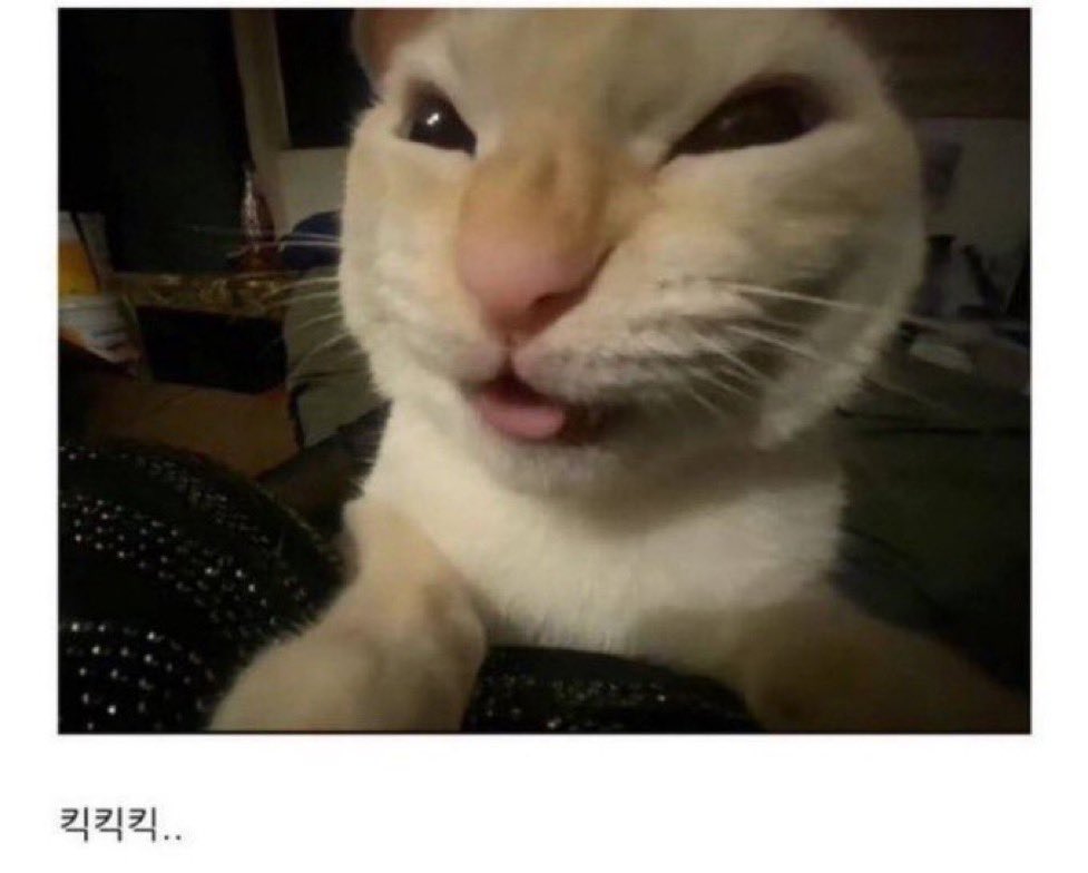 이공😴 tweet media