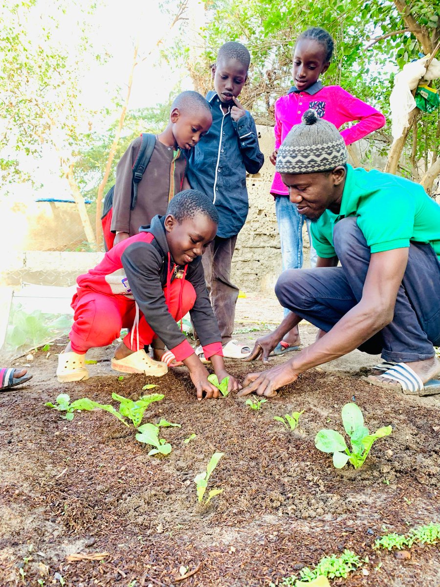 VerteAction's tweet photo. [#ACTIONVERTE#]
Dans le cadre de notre initiative Mercredi Vert, nous avons eu le plaisir de retrouver les enfants dans le jardin École Verte pour une session de repiquage d’une nouvelle variété de plantes.
#EngagementCommunautaire https://t.co/JMxIYbwynX