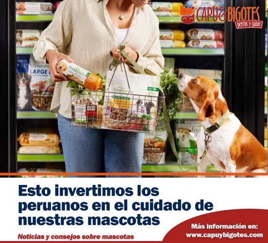 CapuyB's tweet image. ♥️🐶🐱El amor por nuestros amigos de cuatro patas sigue creciendo en #Perú, y con ello, el mercado de alimentos y productos para mascotas. Se proyecta que llegará a US$680 millones en 2028. 
Descubre más sobre el futuro del mercado de #Mascotas en Perú 👉wp.me/pb7hCB-9M6