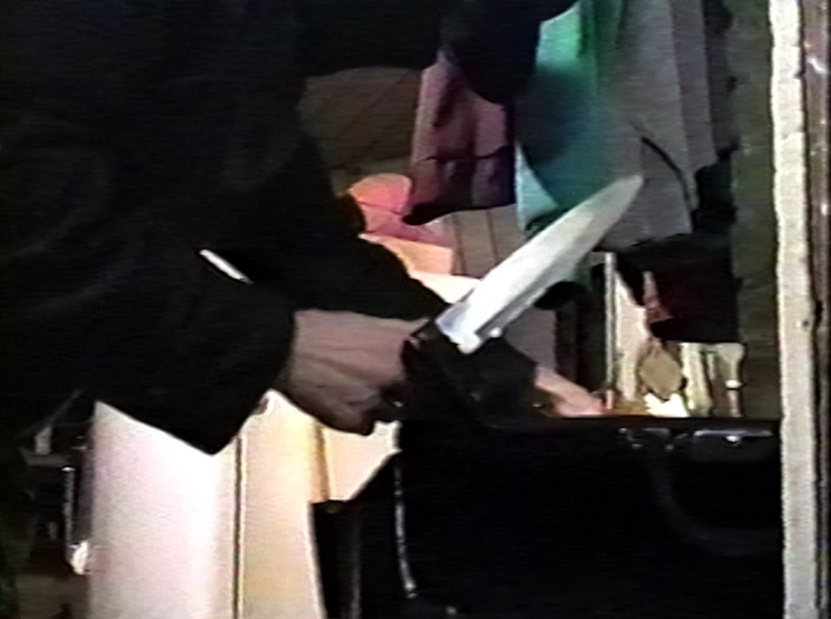 From the self-proclaimed Ed Wood of VHS, none of whose movies got distribution outside of his hometown of Lebanon, Indiana: DEADLY OBSESSION: THE FILMS OF BILL REEVES is now on blu-ray from <a href="/vhshitfest/">VHShitfest</a> with limited edition slipcover by Earl Kessler Jr. 🔪

vinegarsyndrome.com/products/deadl…