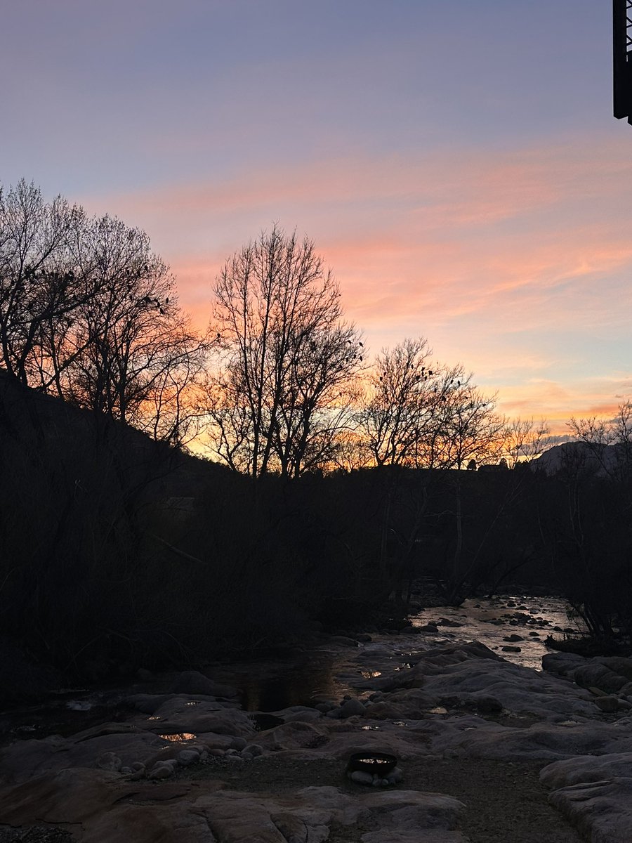 Guillermo Rosas tweet media