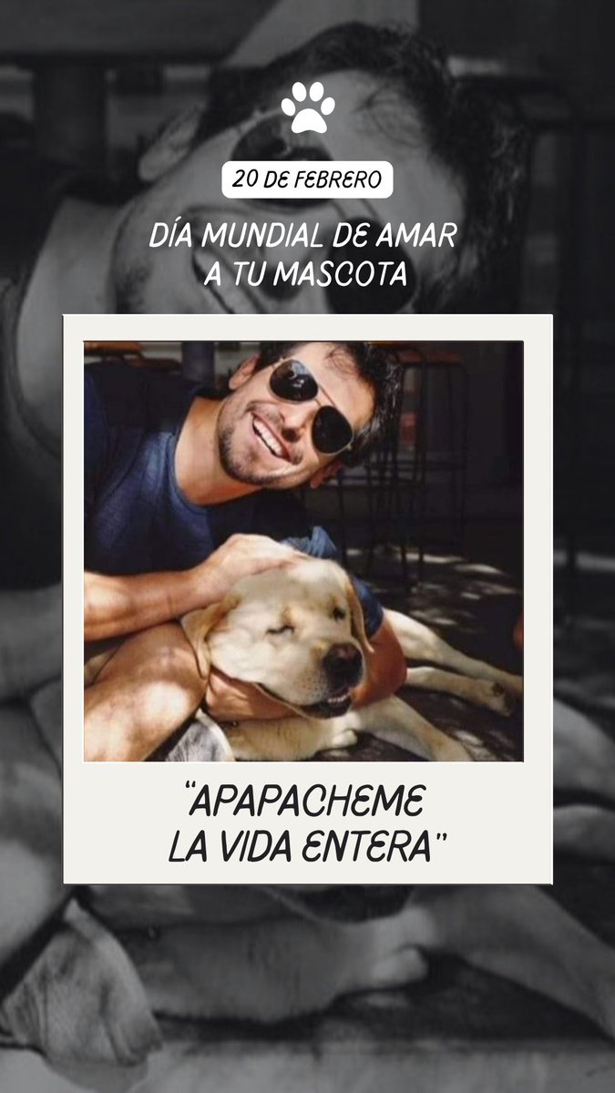 Celebremos a nuestras mascotas...
.
.
.
#alanestrada #actor #viajero #alanxelmundo #axm #AlanEsClubOficial #Febrero2025 #Celebracion