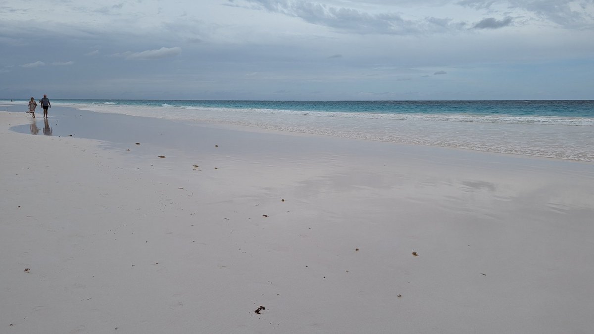 ourplayandart's tweet photo. #unbirdled love
Vast as the ocean
That one set of footprints
is you carrying me
#vss365
#simplelines
#February
#love https://t.co/sDMvEYSafF