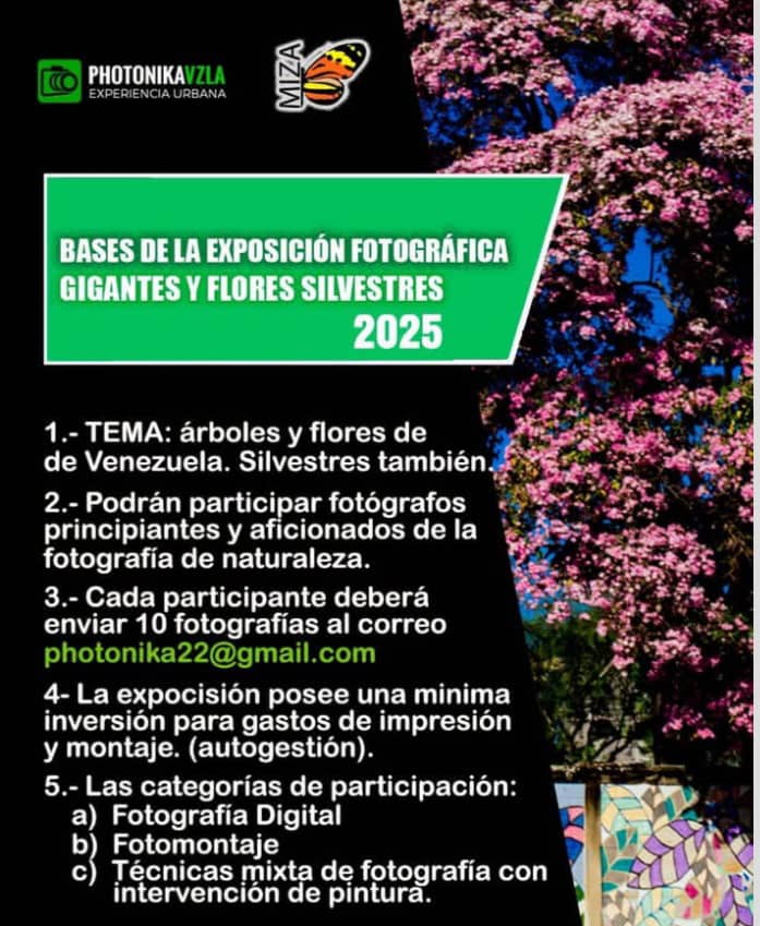 Envia tus fotos de árboles floreados  y participa en la "Exposición fográfica Gigantes y flores Silvestres" del Museo <a href="/MIZAUCV/">MIZA-UCV</a>, Maracay Edo.Aragua.
Recepción: hasta 15 Marzo 2025
Info: 0412 4002311