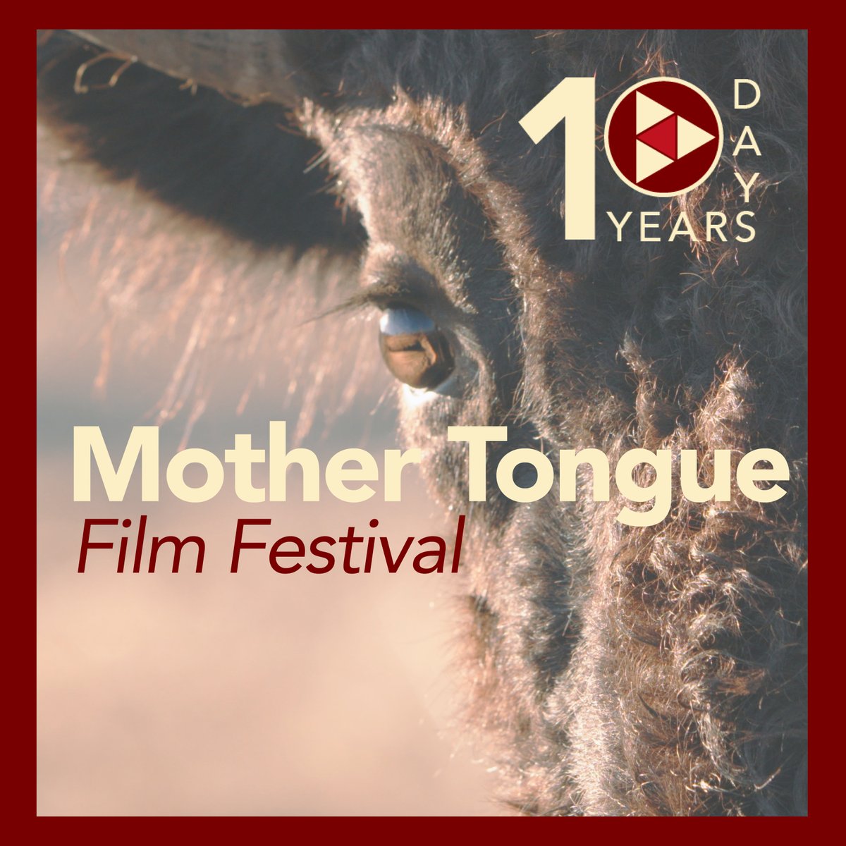 Join us tonight for the start of the Mother Tongue Film Festival! The Zotigh Singers will offer a welcome song before the screening of “Singing Back the Buffalo” (dir. Tasha Hubbard (Plains Cree)). The evening starts at 7 p.m. at <a href="/SmithsonianNMAI/">National Museum of the American Indian</a>. All are welcome.