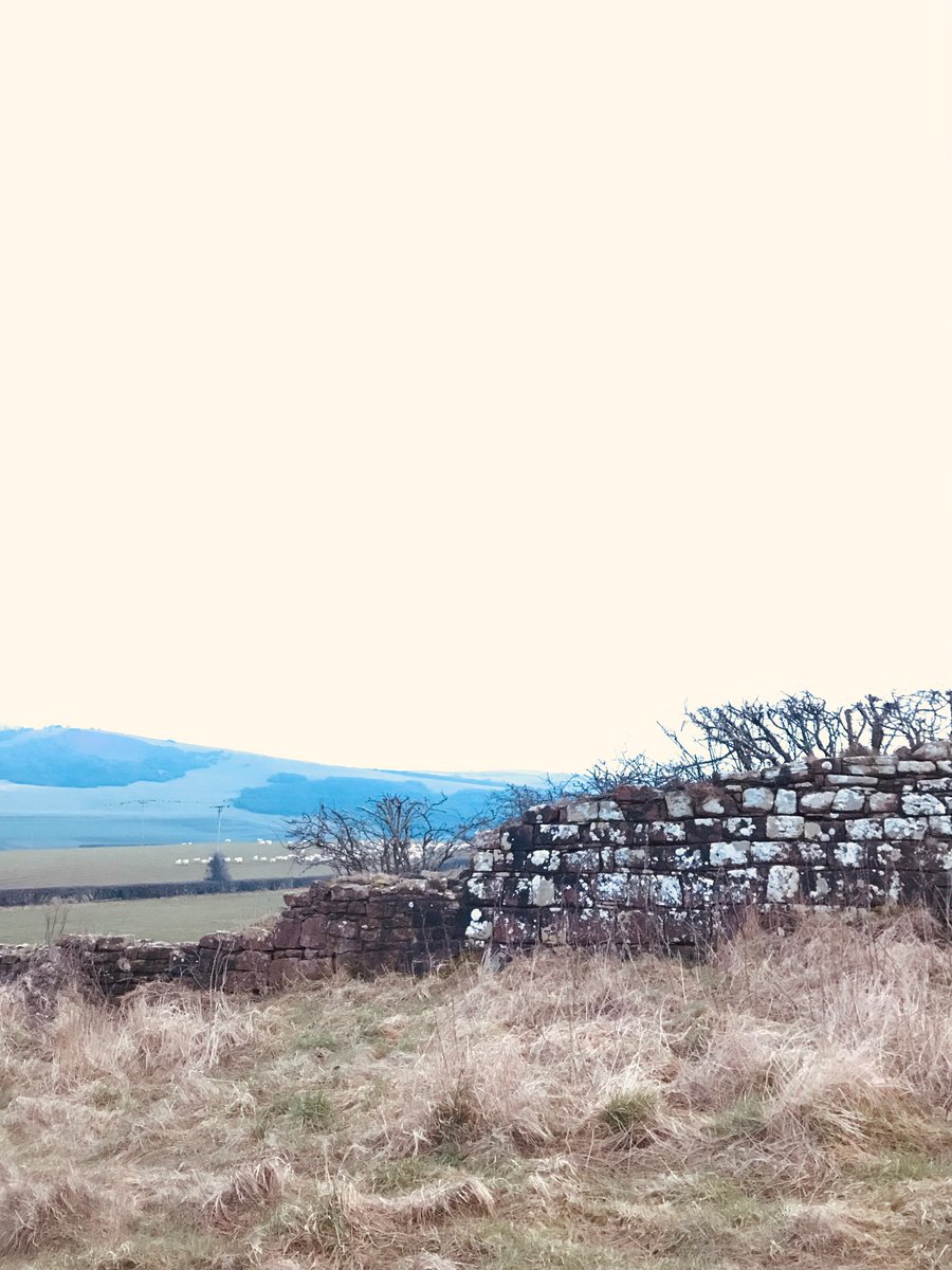 Gorgeous few days in the Lakes to reset 🍂

#ulverston