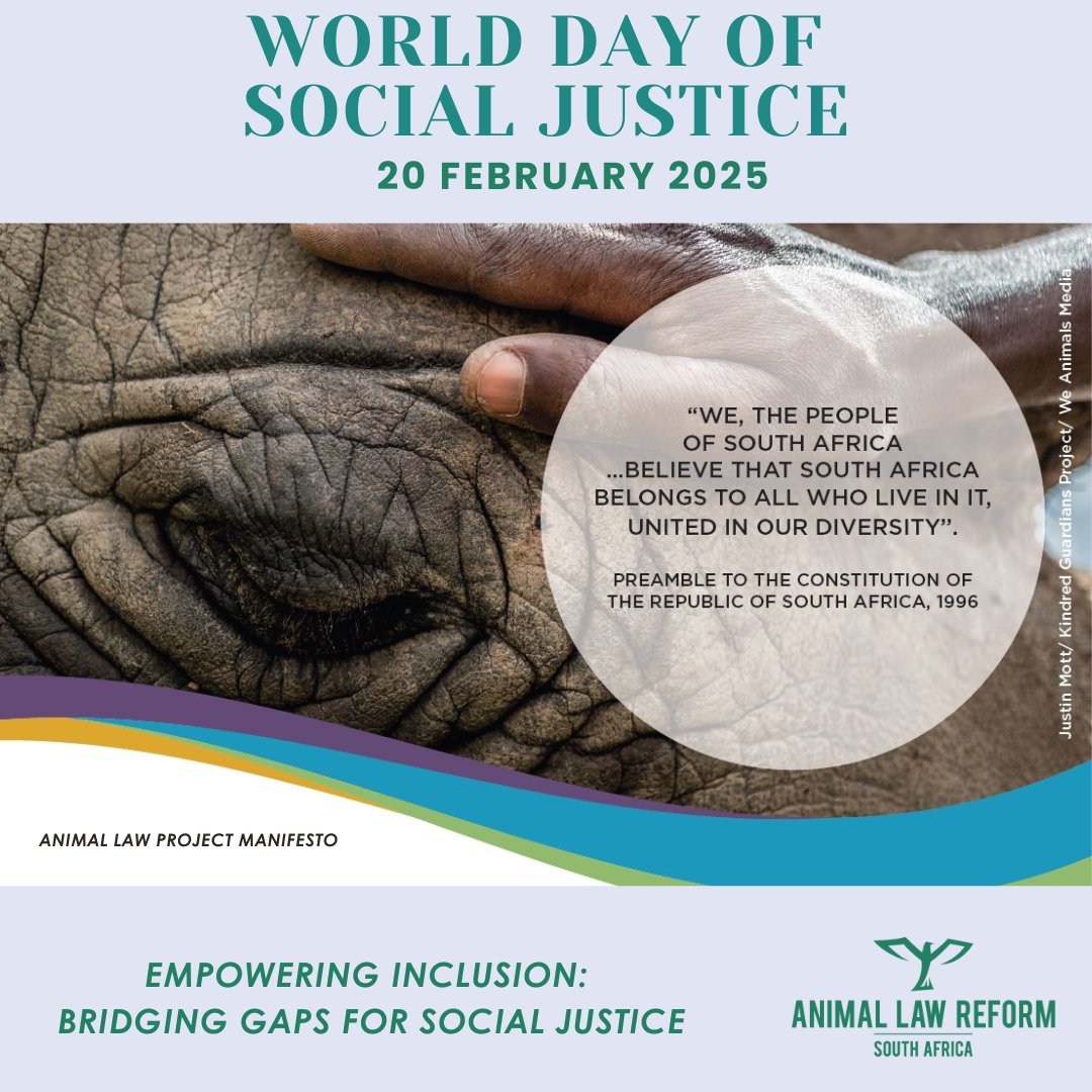 Today is #WorldDayofSocialJustice! This year’s theme Empowering Inclusion: Bridging Gaps for Social Justice recognises that justice must leave no one behind—including animals! 

Help bridge the gap by supporting the Animal Law Project's Manifesto: animallawproject.org.za/support/